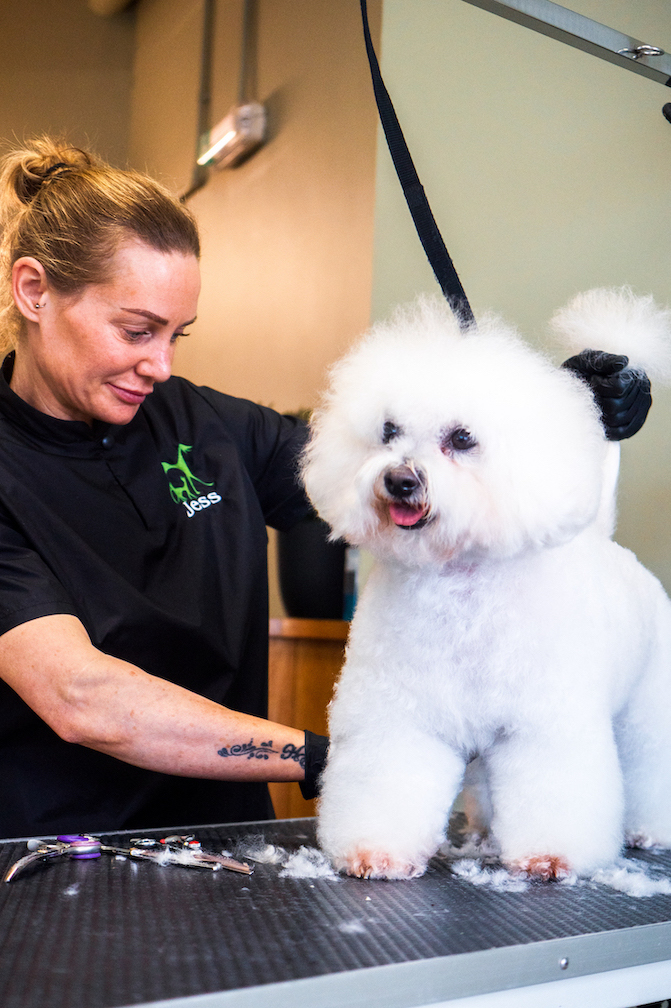 Full dog grooming service