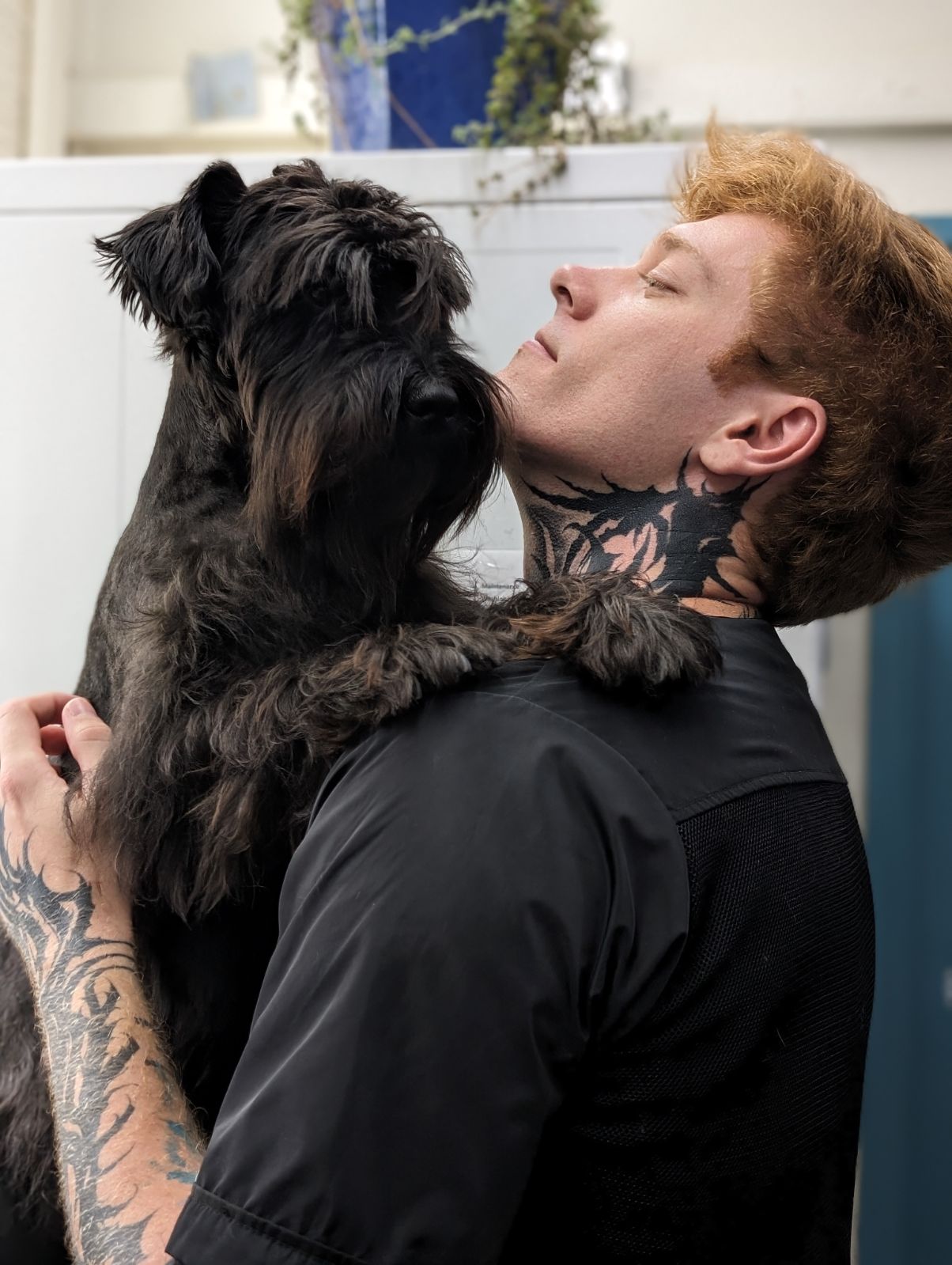 David K., Groomer